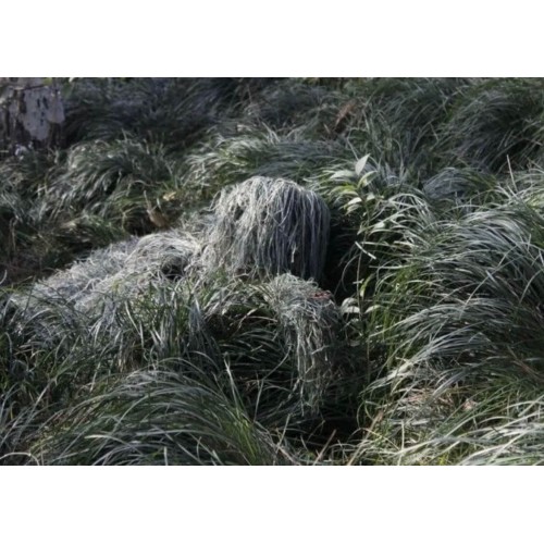 Маскировочный костюм снайпера и разведчика «ЛЕШИЙ» в Великом Новгороде